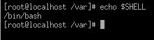 Linux Shell