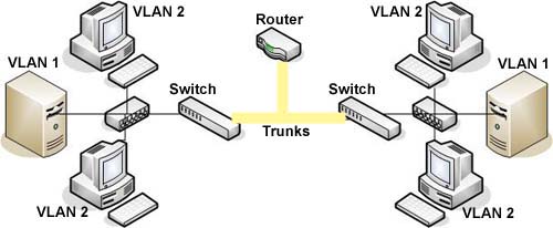 Trunking