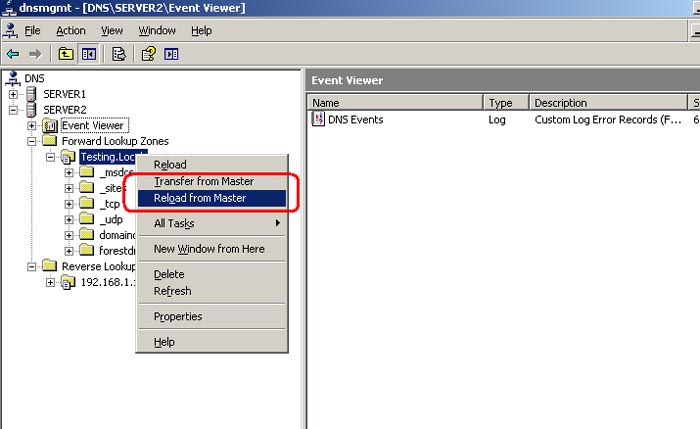 Forcing a DNS Zone Transfer