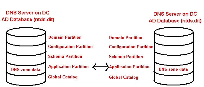 DNS Data Storage