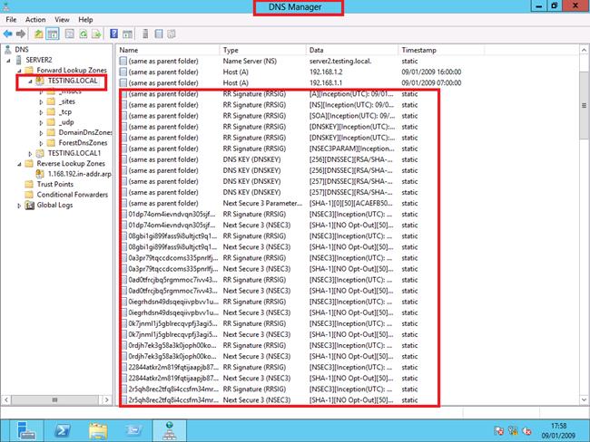 Digitally Signing Private DNS Server Zone Data