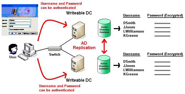 Login Process